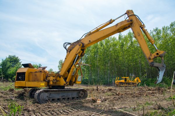 Farm Clearing in San Luis Obispo