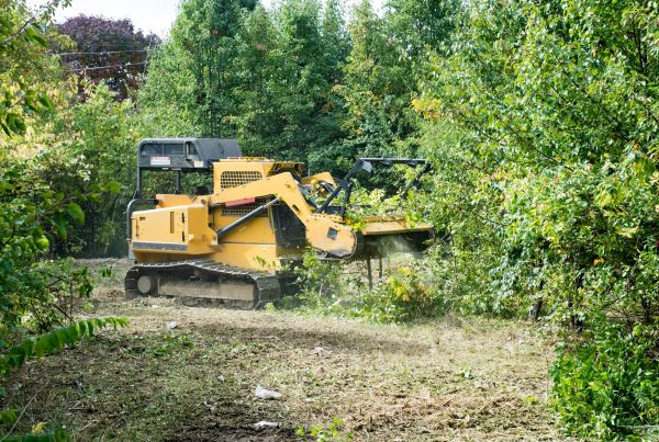 Pathway Clearing in San Luis Obispo