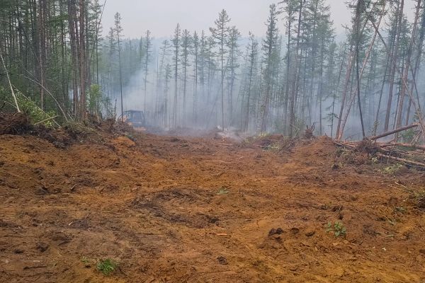 Hill Clearing in San Luis Obispo