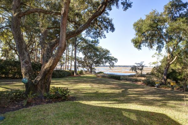 Lakefront Property Clearing in San Luis Obispo