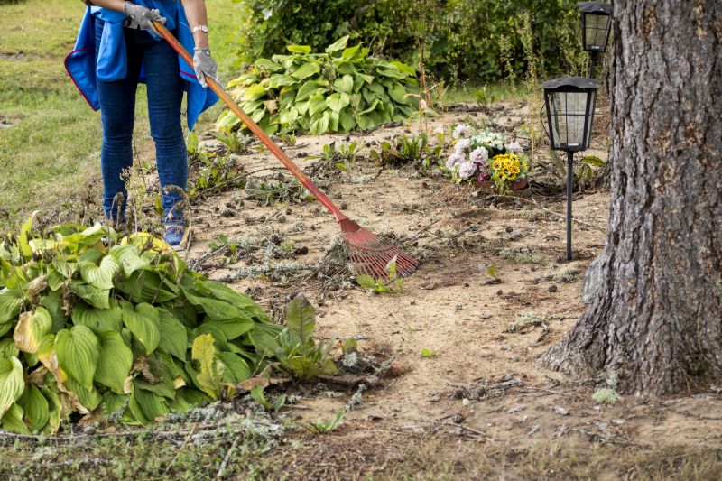 Vegetation Management