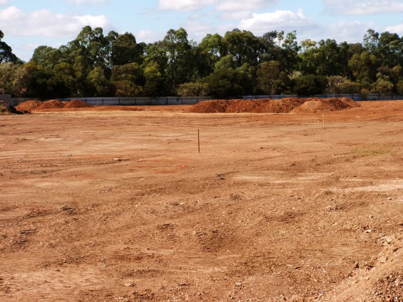 Clear Land for Construction